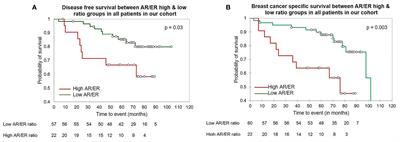 Pre-Menopausal Women With Breast Cancers Having High AR/ER Ratios in the Context of Higher Circulating Testosterone Tend to Have Poorer Outcomes